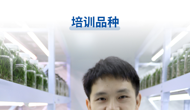 培训详情2_02