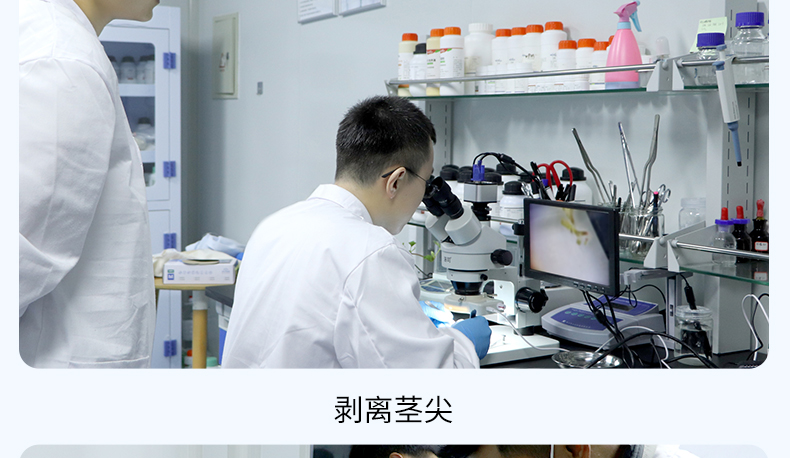 培训详情2_12