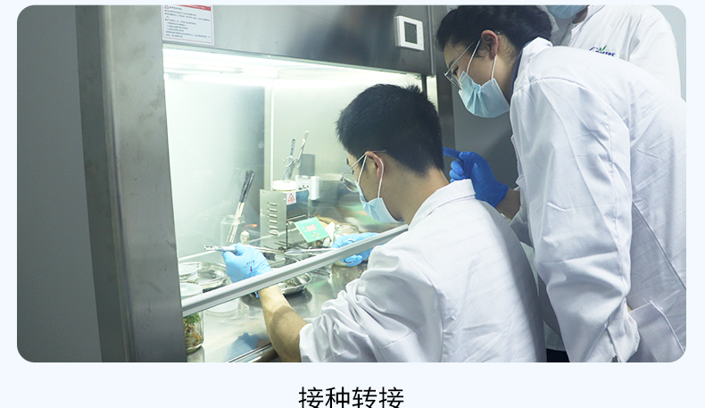 培训详情2_14